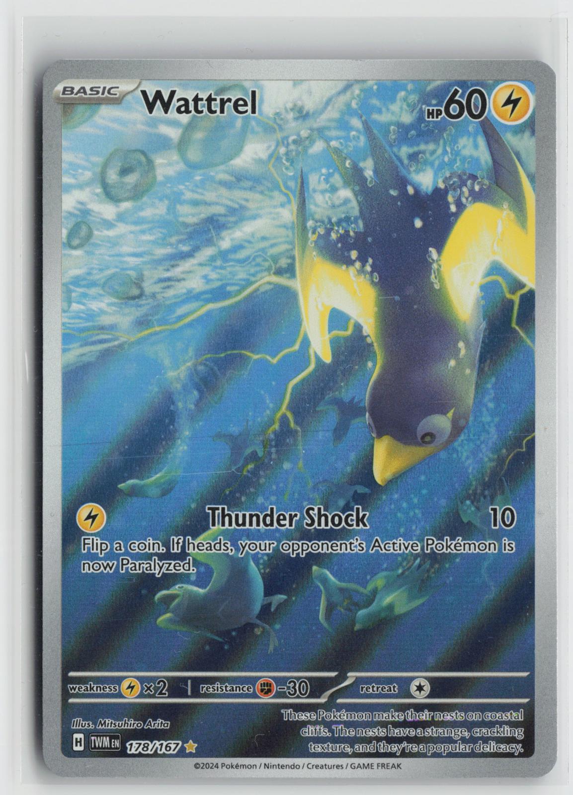 Wattrel 178/167 Illustration Rare Twilight Masquerade Pokemon Holo NM