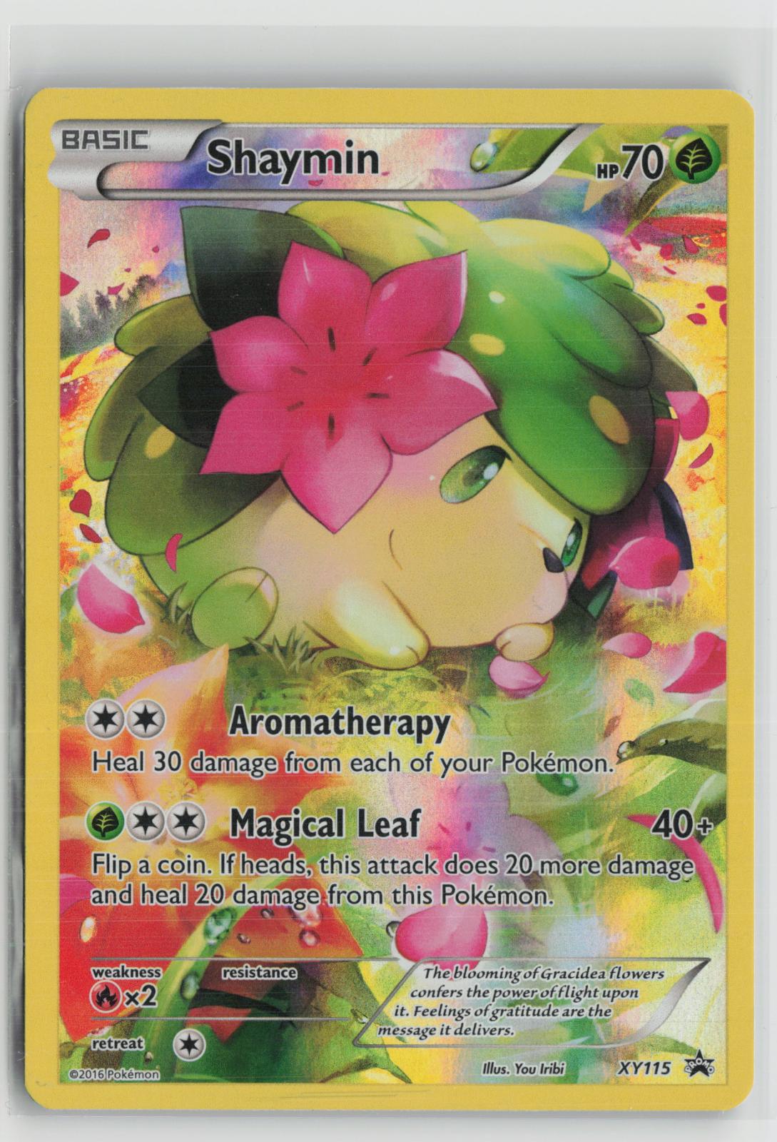 Shaymin XY115 Holo Promo XY Promo Pokemon NM