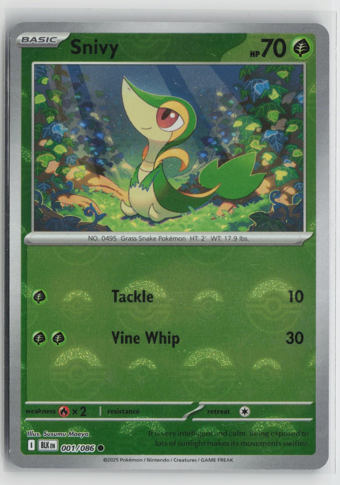 Snivy (Poke Ball Pattern) 001/086 Holo Common Black Bolt Pokemon NM