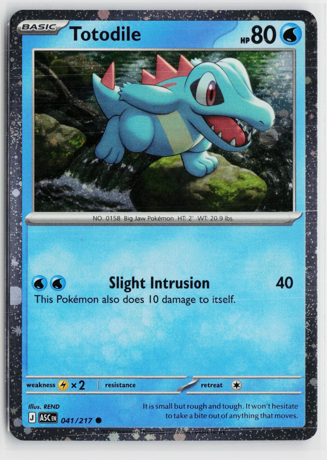 Totodile (Cosmos Holo) 041/217 Miscellaneous Cards & Products NM C Pokemon