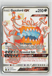 Guzzlord GX SV71/SV94 Shiny GX Rare Hidden Fates Shiny Vault Pokemon Holo NM