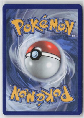 Rayquaza V 110/203 Holo V Rare Evolving Skies Pokemon NM