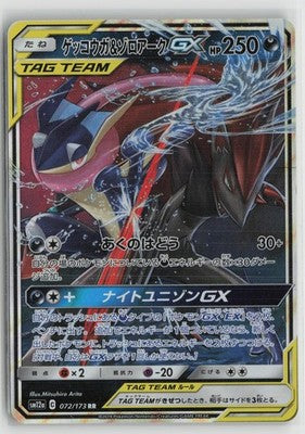Greninja & Zoroark GX 072/173 Double Rare Tag All Stars Pokemon Japanese NM