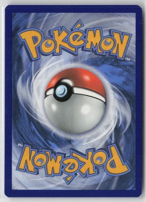Raihan 202/203 Ultra Rare Evolving Skies Pokemon NM