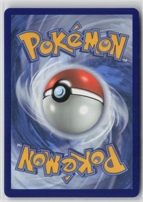 Wailord V 013/073 Holo V Rare Champion's Path Pokemon NM