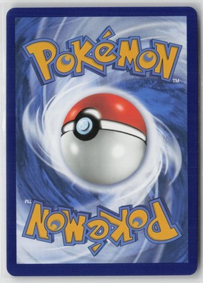 Lance's Charizard V - Promo SWSH: Sword & Shield Promo Cards SWSH133 NM