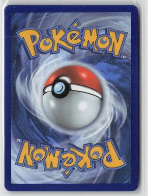 Rayquaza V 110/203 Holo V Rare Evolving Skies Pokemon NM