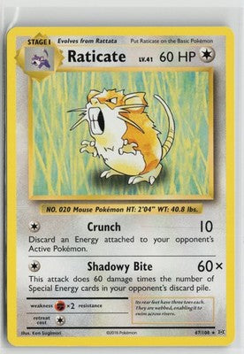 Raticate 67/108 Rare Evolutions Pokemon NM
