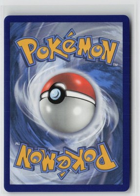 Brandon 203/195 Rainbow Rare Silver Tempest Pokemon NM