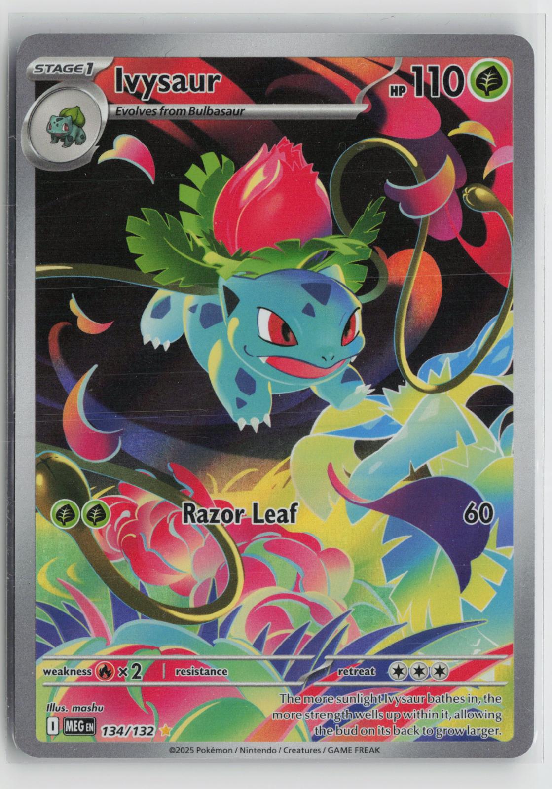 Ivysaur 134/132 Illustration Rare Mega Evolution Pokemon Holo NM