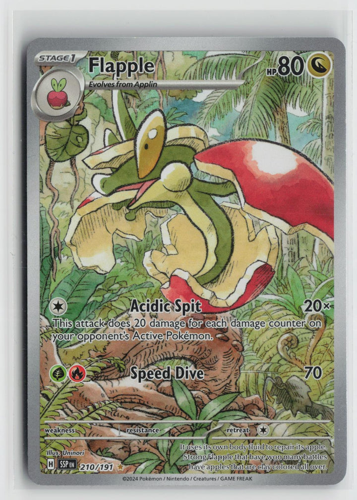 Flapple 210/191 Illustration Rare Surging Sparks Pokemon Holo NM0