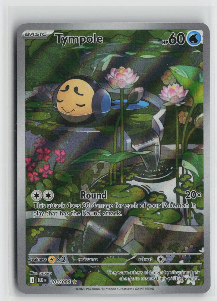 Tympole 103/086 Holo Illustration Rare Black Bolt Pokemon NM0