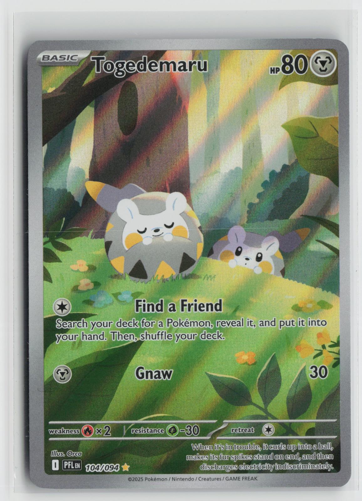 Togedemaru 104/094 Illustration Rare Phantasmal Flames Pokemon NM