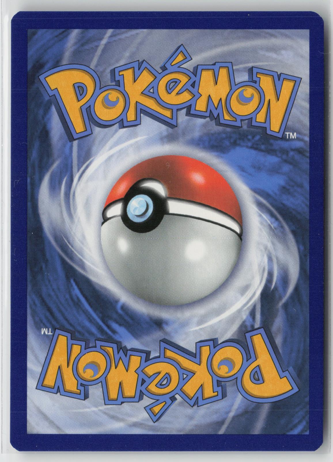Raihan 202/203 Ultra Rare Evolving Skies Pokemon NM