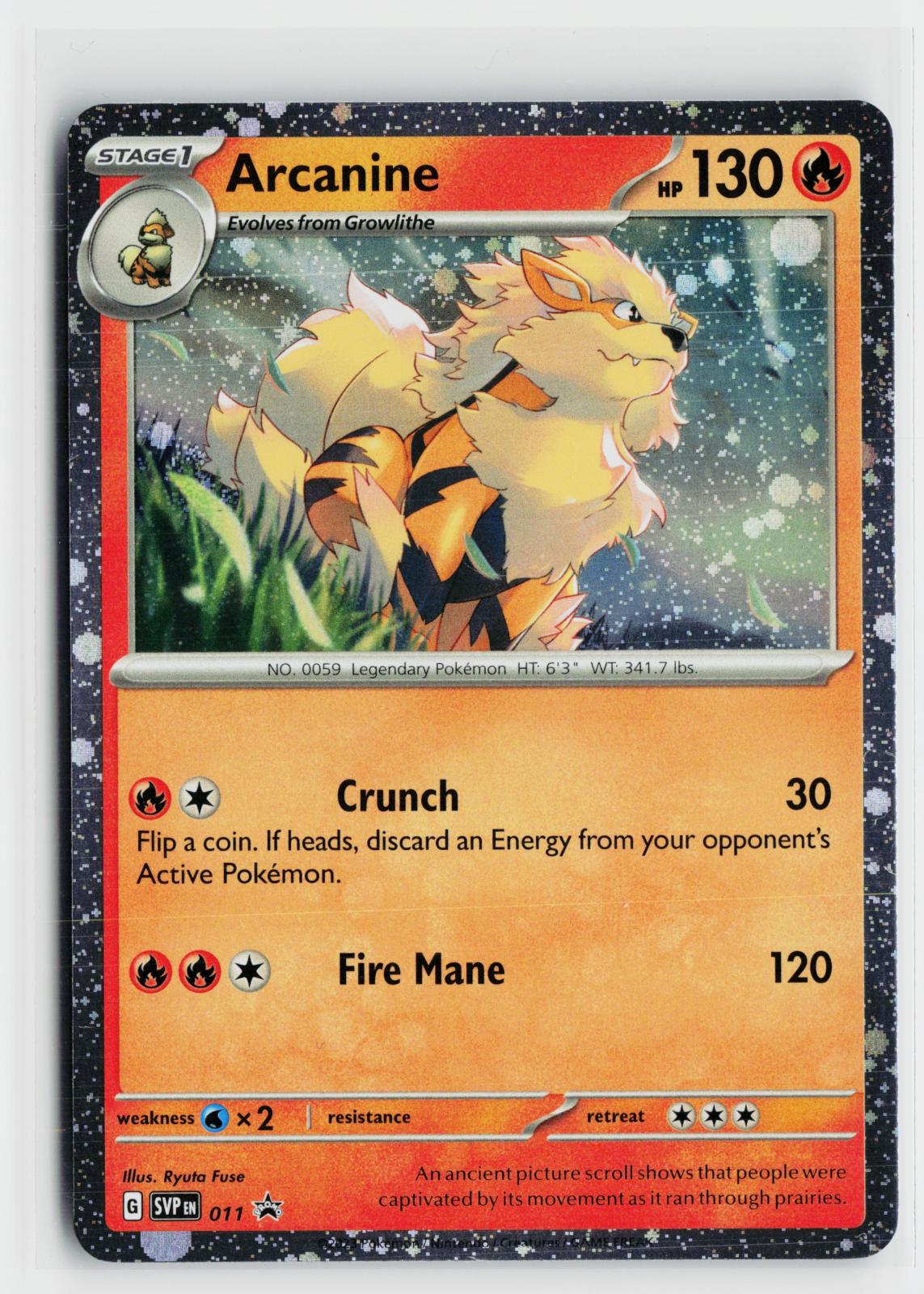 Arcanine 011 Scarlet & Violet Promo NM Holo P Pokemon
