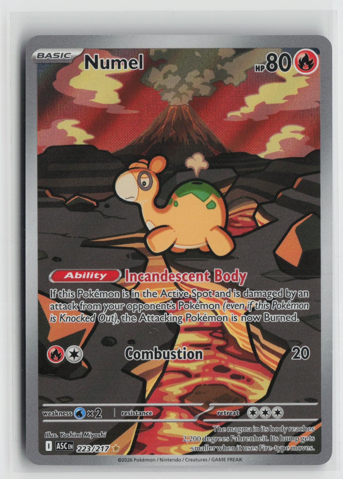 Numel 223/217 Ascended Heroes NM Illustration Rare Holo Pokemon