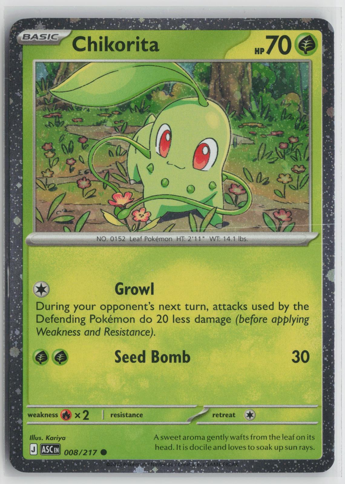 Chikorita 008/217 Common Ascended Heroes Pokemon NM