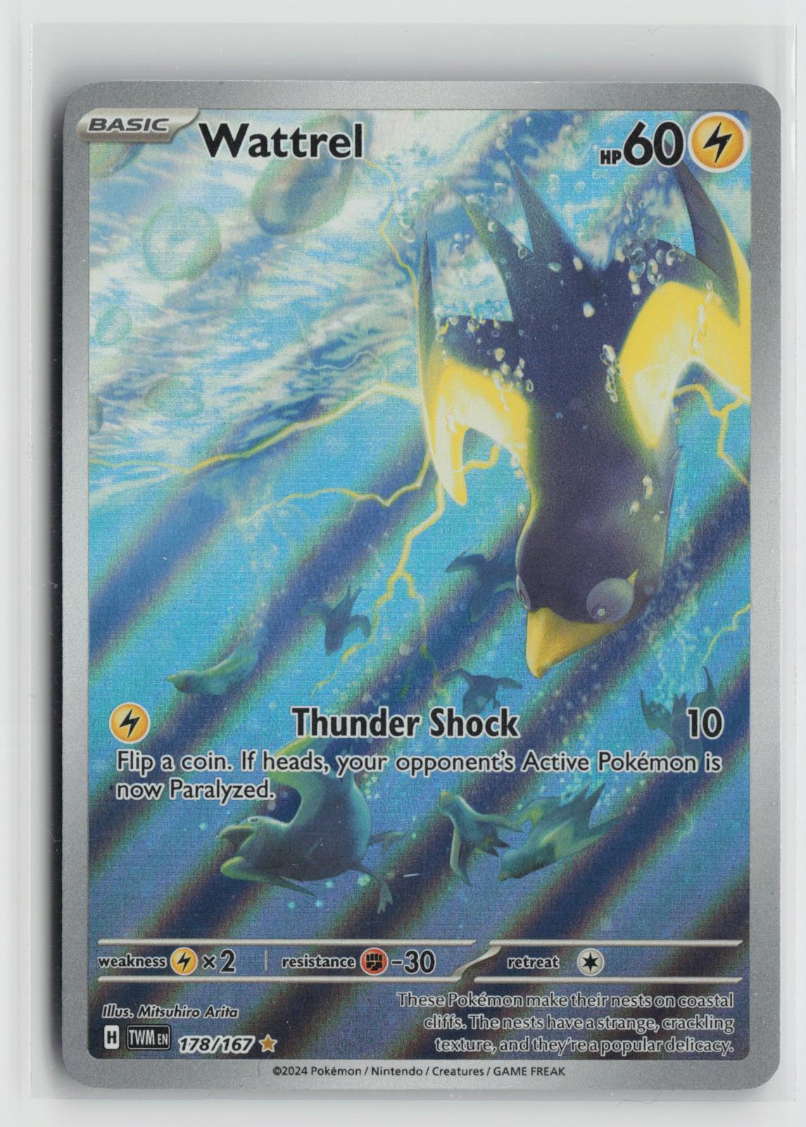 Wattrel 178/167 Illustration Rare Twilight Masquerade Pokemon Holo NM