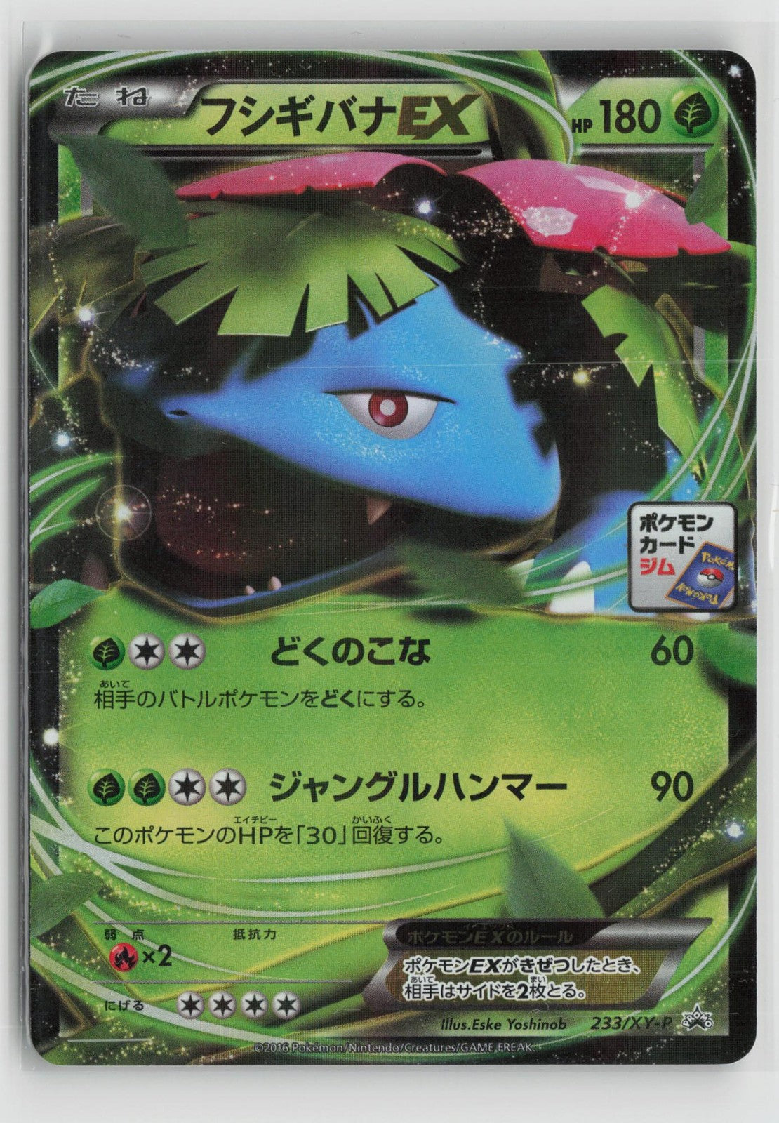 Venusaur EX 233 Promo Gym Stamp Campaign Pokemon Japanese NM