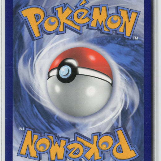 Dubwool V SWSH049 Holo Promo Sword & Shield Promo Pokemon NM1