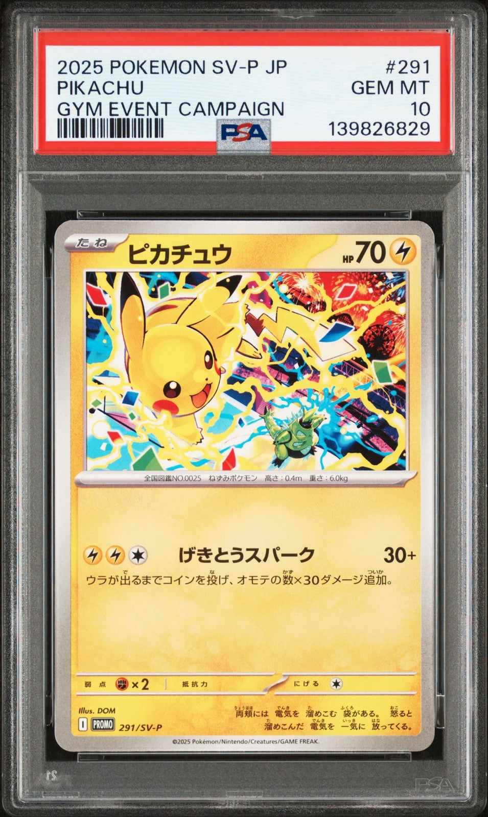 Pikachu 291/SV-P Gym Event Campaign Sv-p Promo Pokemon Japanese PSA 10