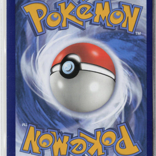 Houndoom TG10/TG30 Holo Brilliant Stars Trainer Gallery Pokemon NM1