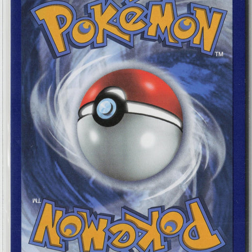 Light Toxtricity SWSH137 Holo Promo Sword & Shield Promo Pokemon NM1