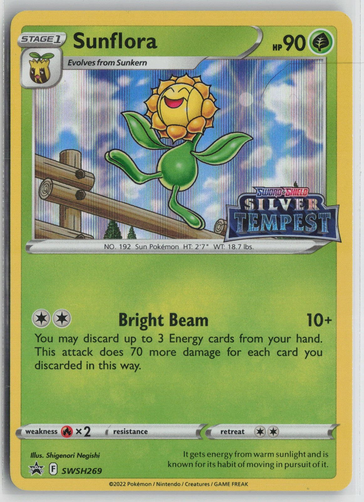 Sunflora SWSH269 Promo SWSH Black Star Pokemon NM