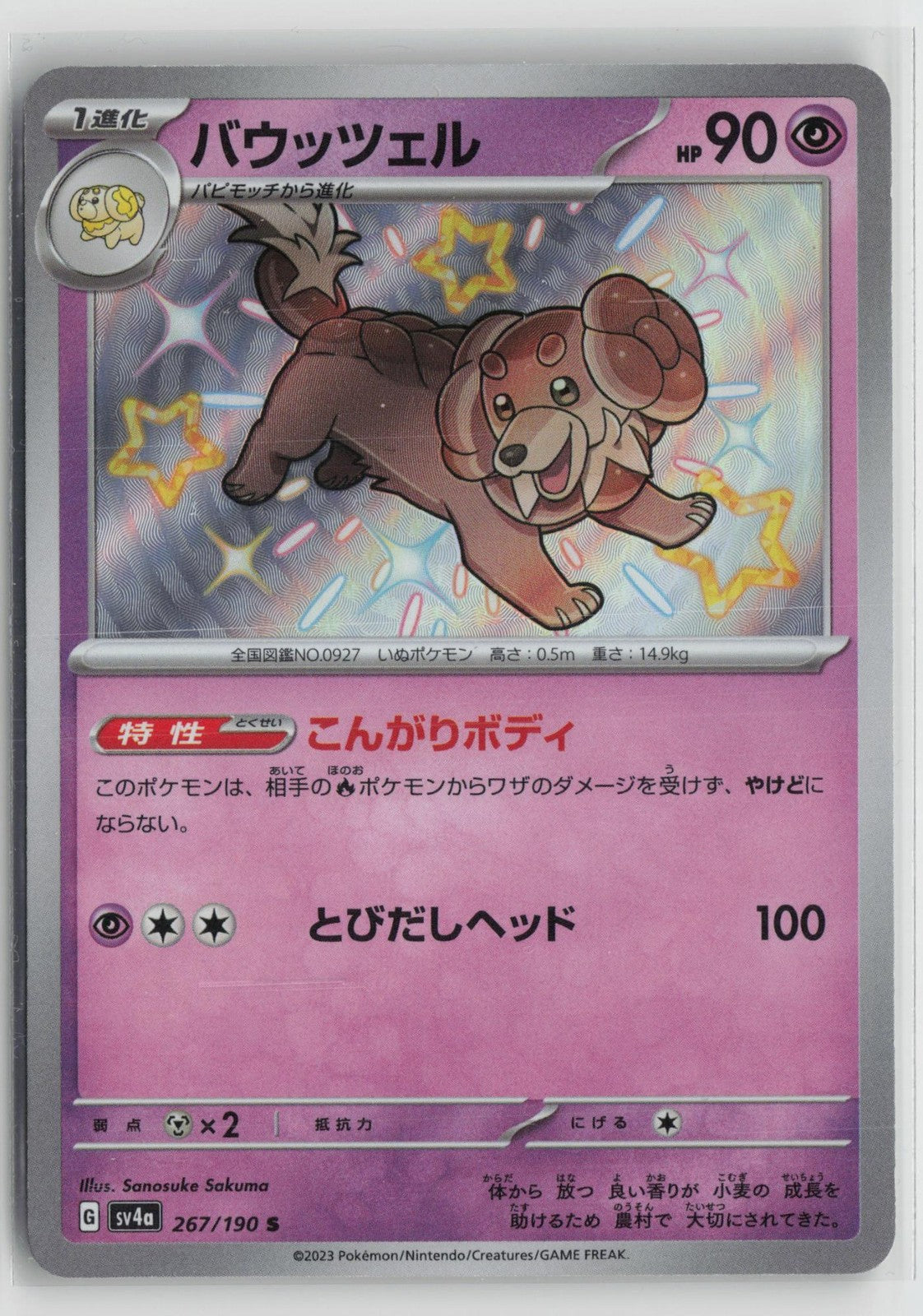 Dachsbun 267/190 Shiny Shiny Treasure ex Pokemon Japanese NM