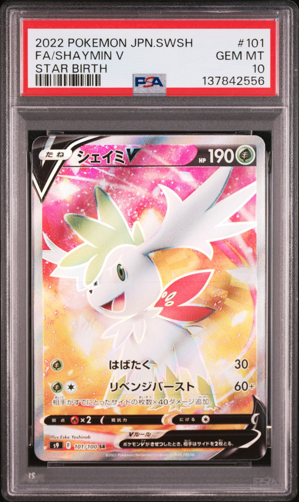 Shaymin V 101/100 Star Birth Pokemon Japanese PSA 10
