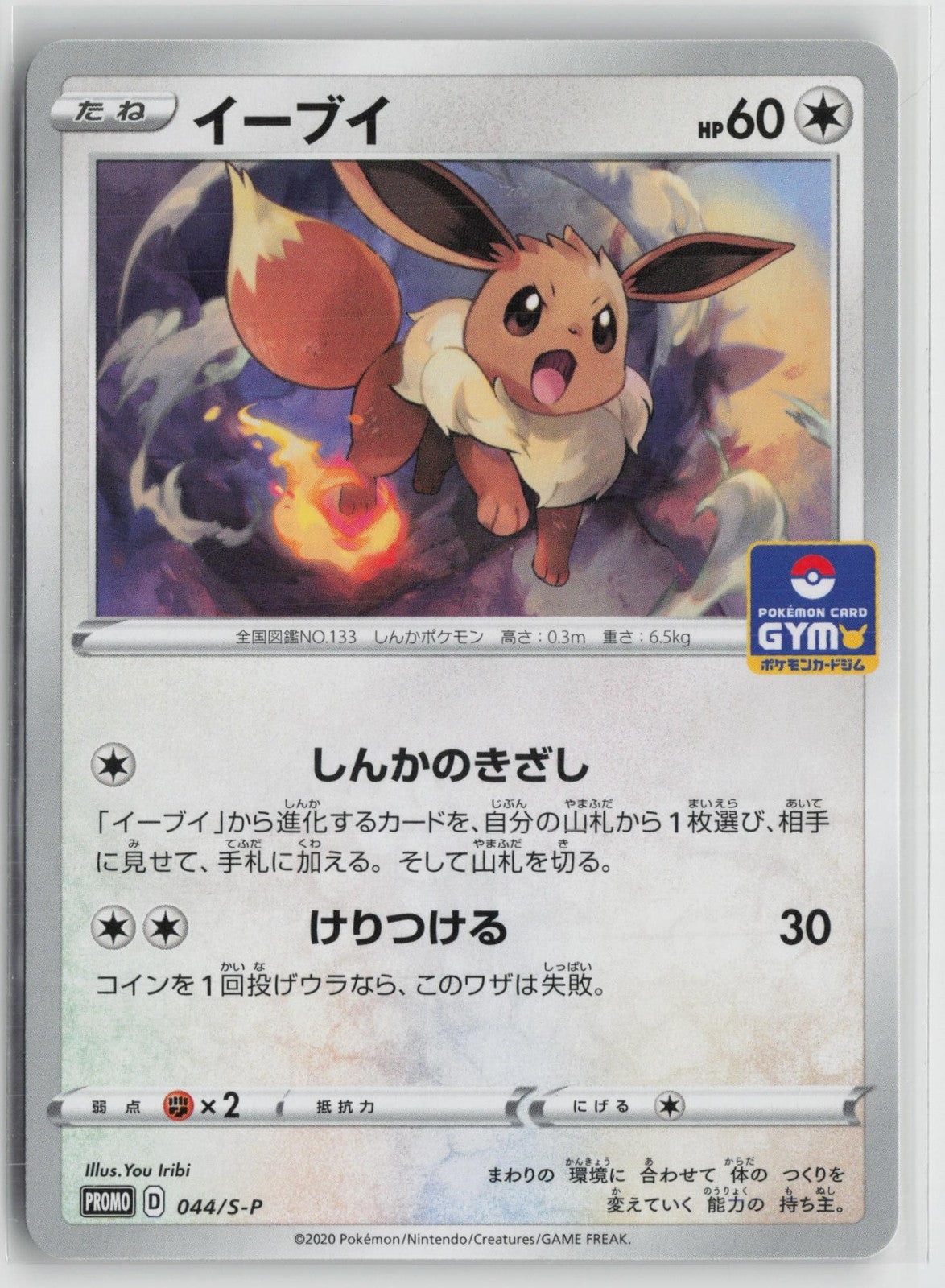 Eevee 044/S-P Gym Promo Pokemon Japanese NM