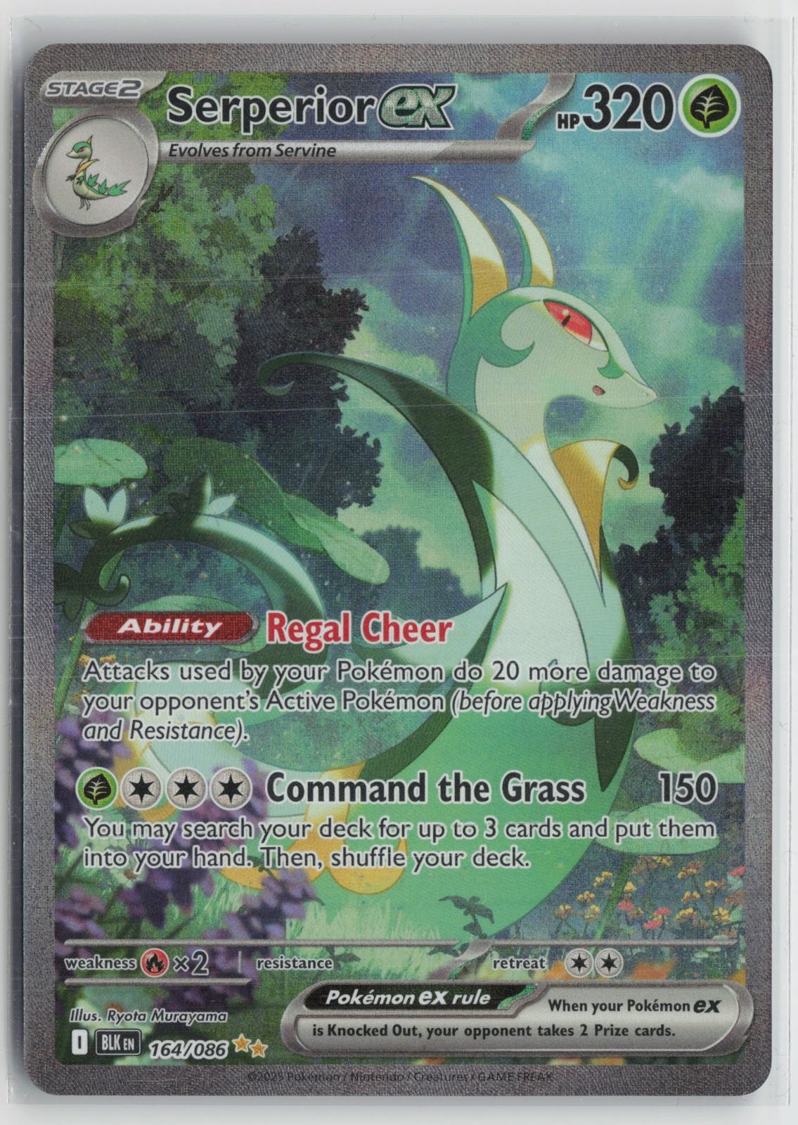 Serperior ex 164/086 Holo Special Illustration Rare Black Bolt Pokemon NM