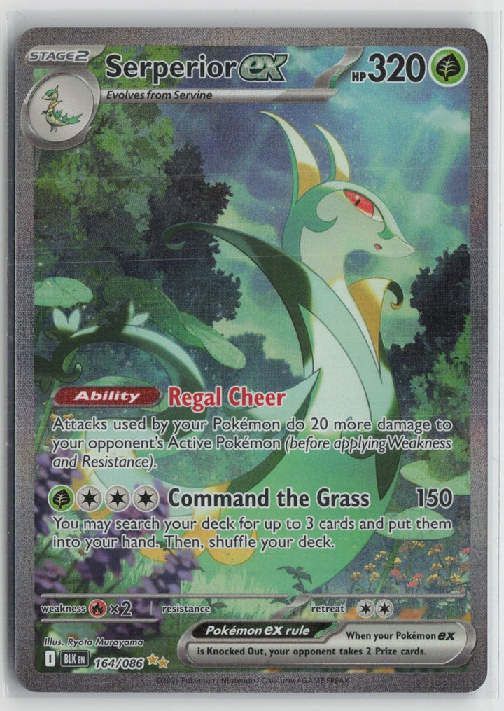 Serperior ex 164/086 Holo Special Illustration Rare Black Bolt Pokemon NM0
