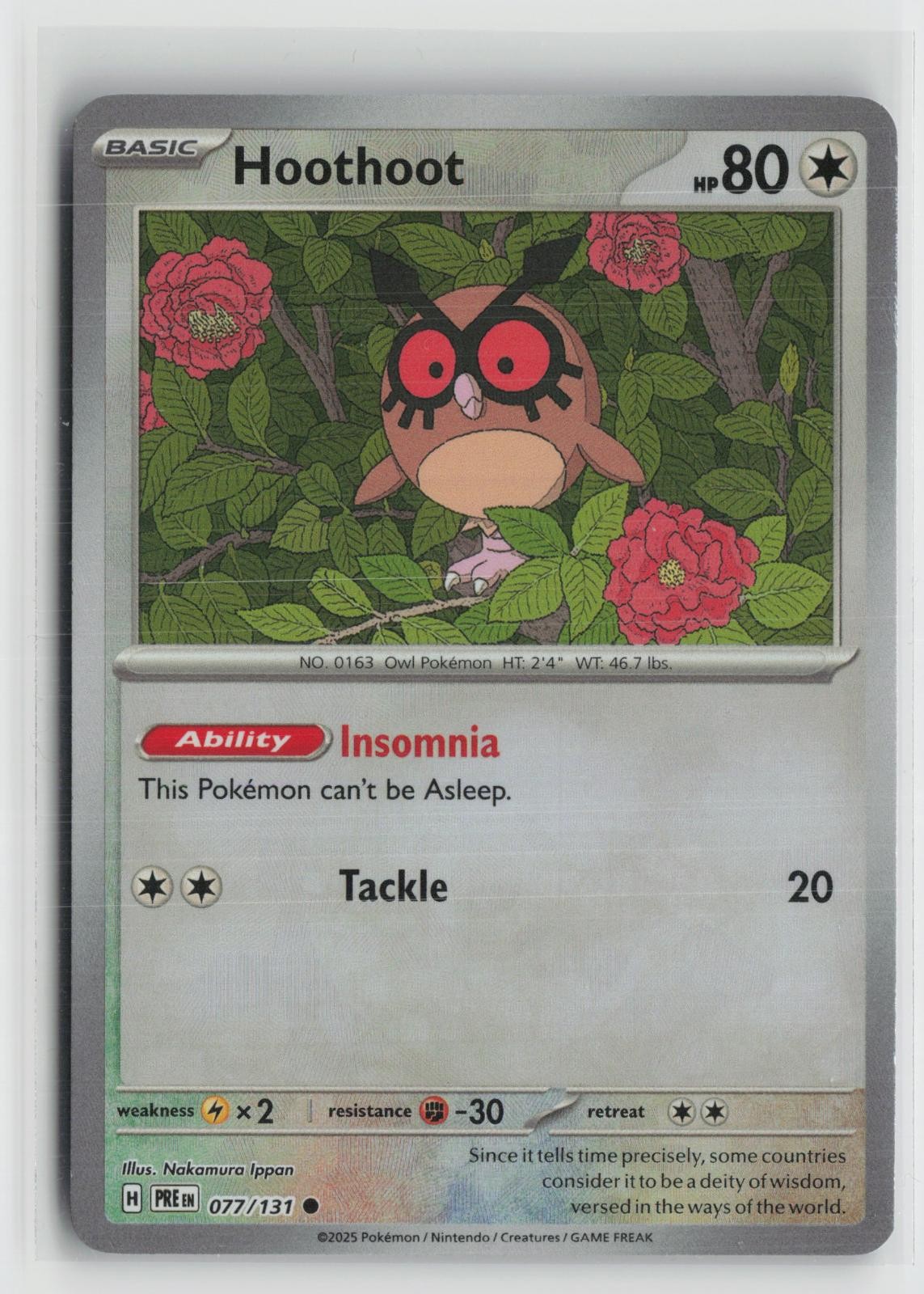 Hoothoot 077/131 Poke Ball Prismatic Evolutions Pokemon NM