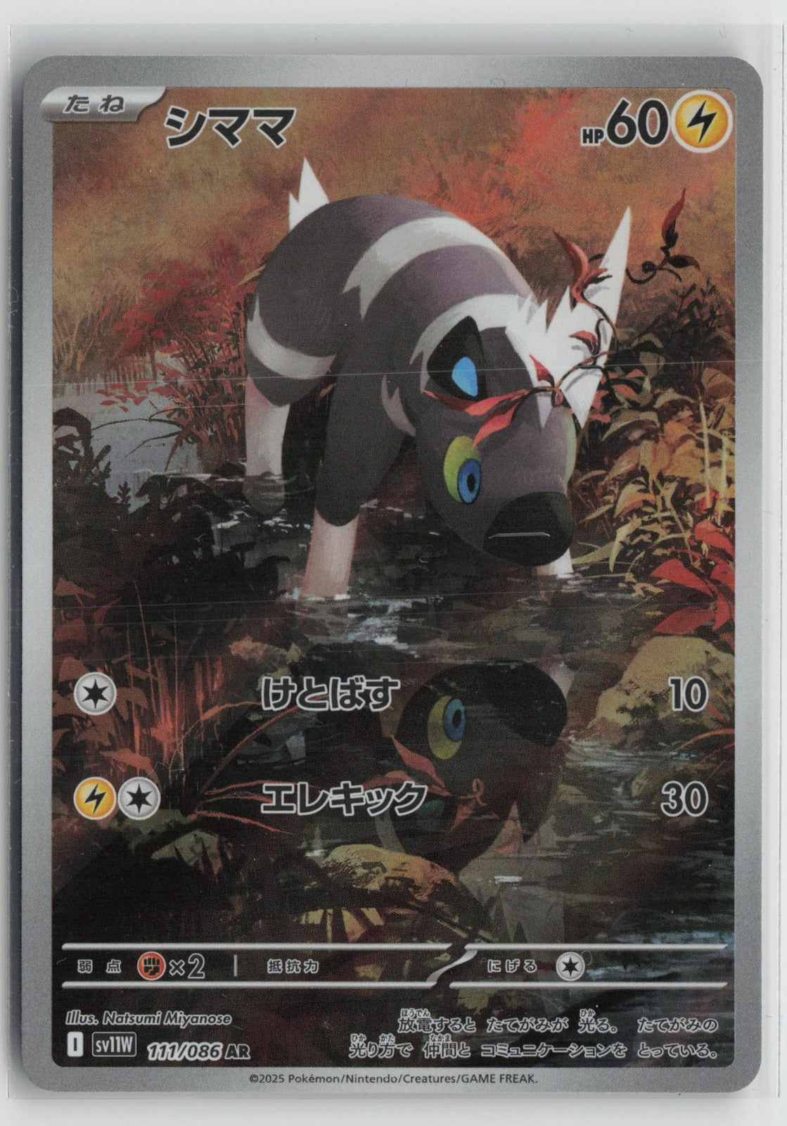 Blitzle 111/086 Art Rare White Flare Pokemon Japanese NM