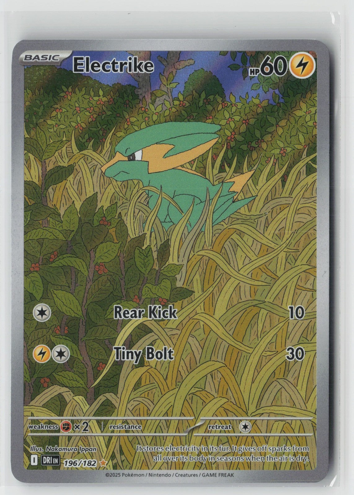 Electrike 196/182 Illustration Rare Destined Rivals Pokemon NM
