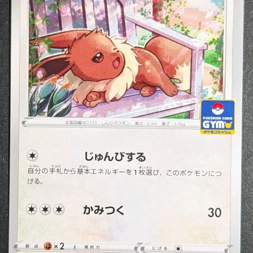 Pokemon - Eevee 181/S-P Gym Promo Japanese NM 181 2021