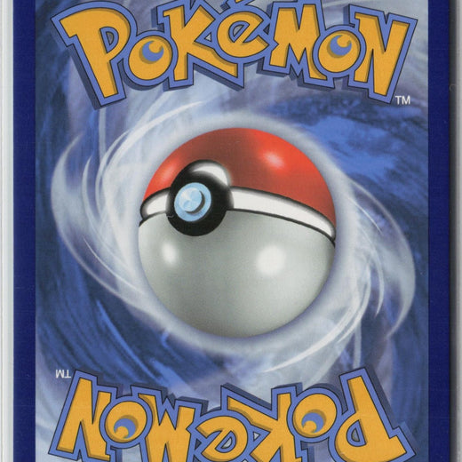 Wailord V 013/073 Holo V Rare Champion's Path Pokemon NM1