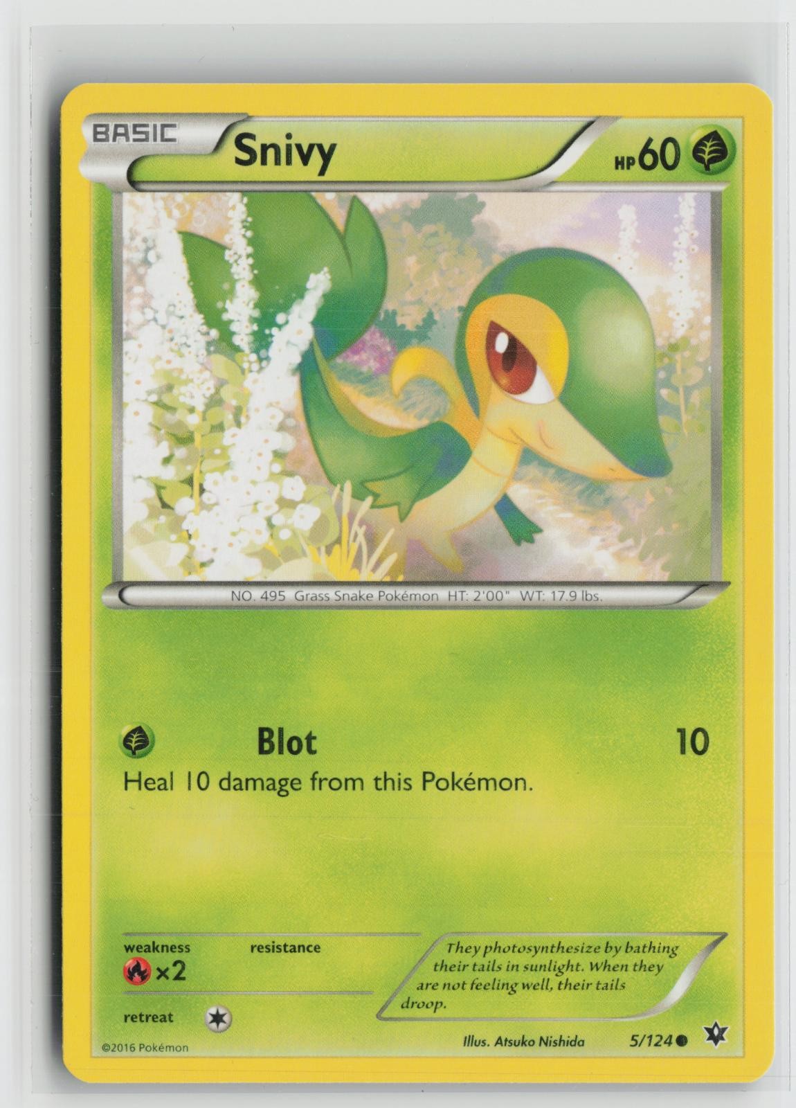 Snivy 5/124 Common Fates Collide Pokemon NM
