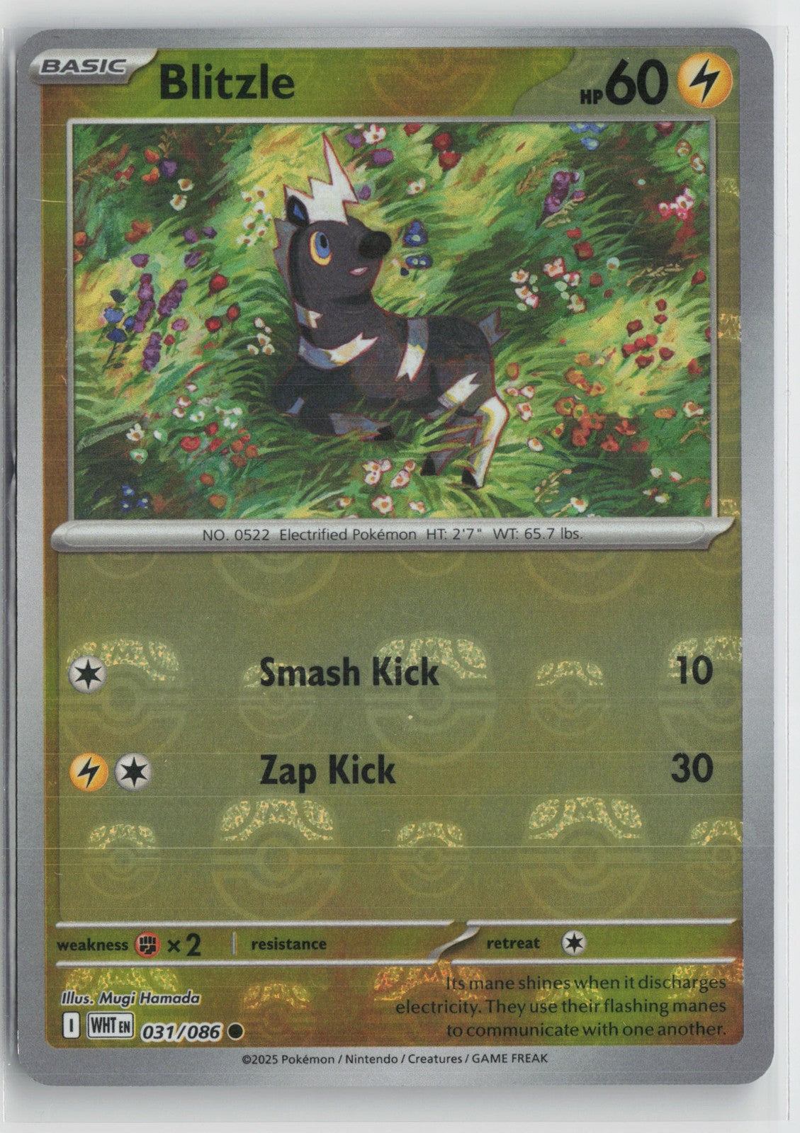 Blitzle (Master Ball Pattern) Common SV: White Flare 031/086 NM