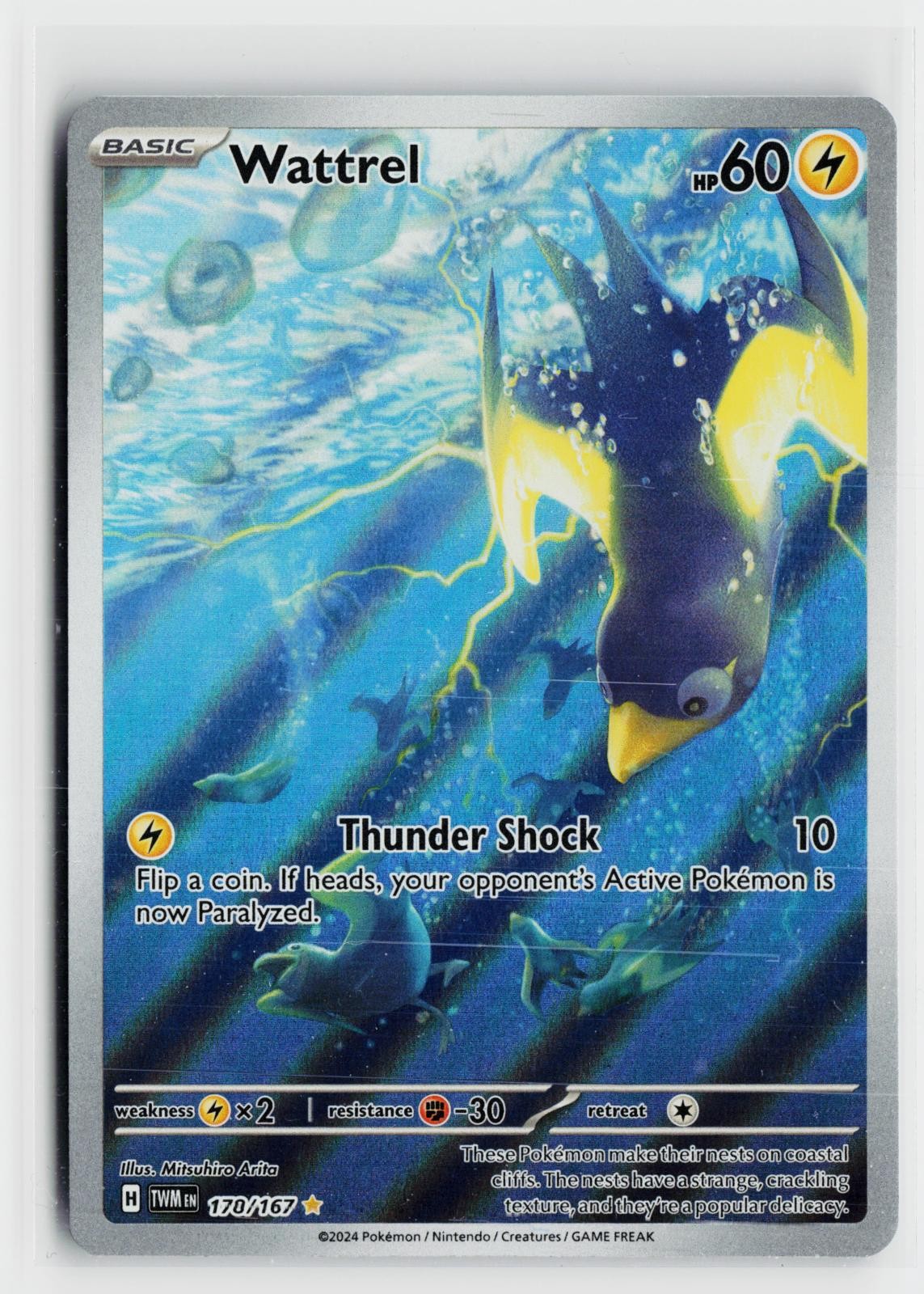Wattrel 178/167 Twilight Masquerade NM Illustration Rare Holo Pokemon