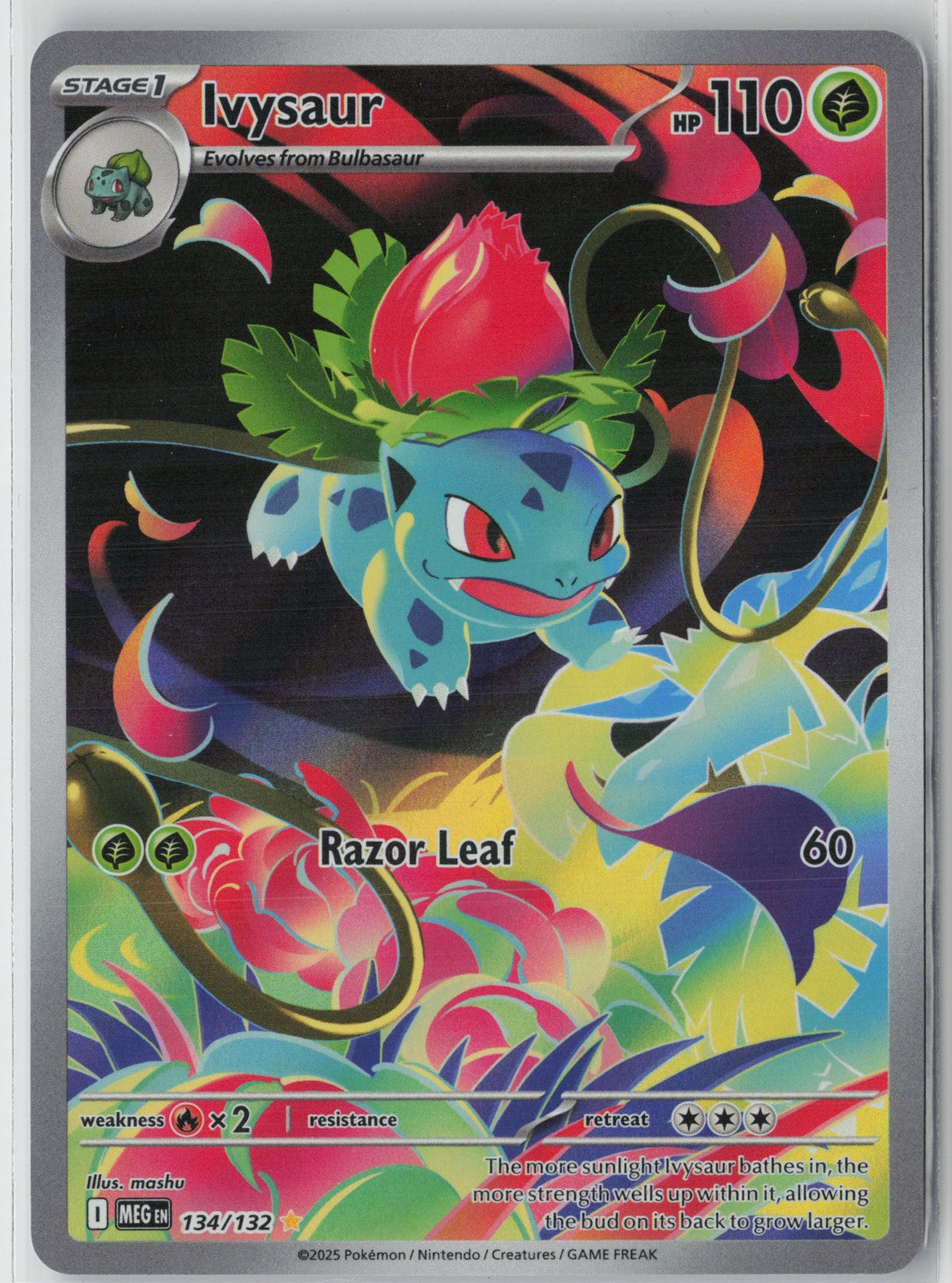Ivysaur Illustration Rare ME01: Mega Evolution 134/132 NM