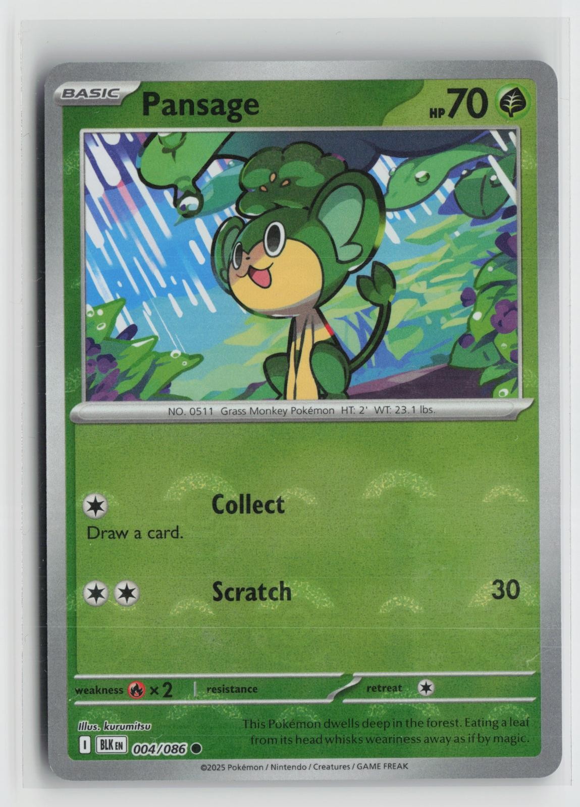 Pansage (Poke Ball Pattern) 004/086 Holo Common Black Bolt Pokemon NM
