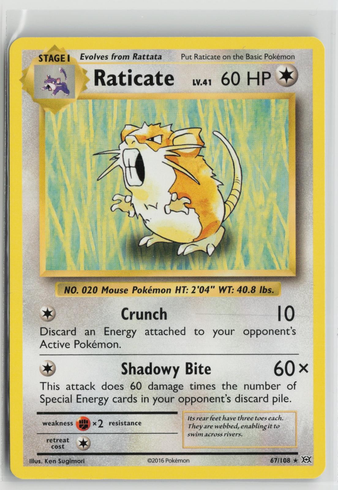 Raticate 67/108 Rare Evolutions Pokemon NM