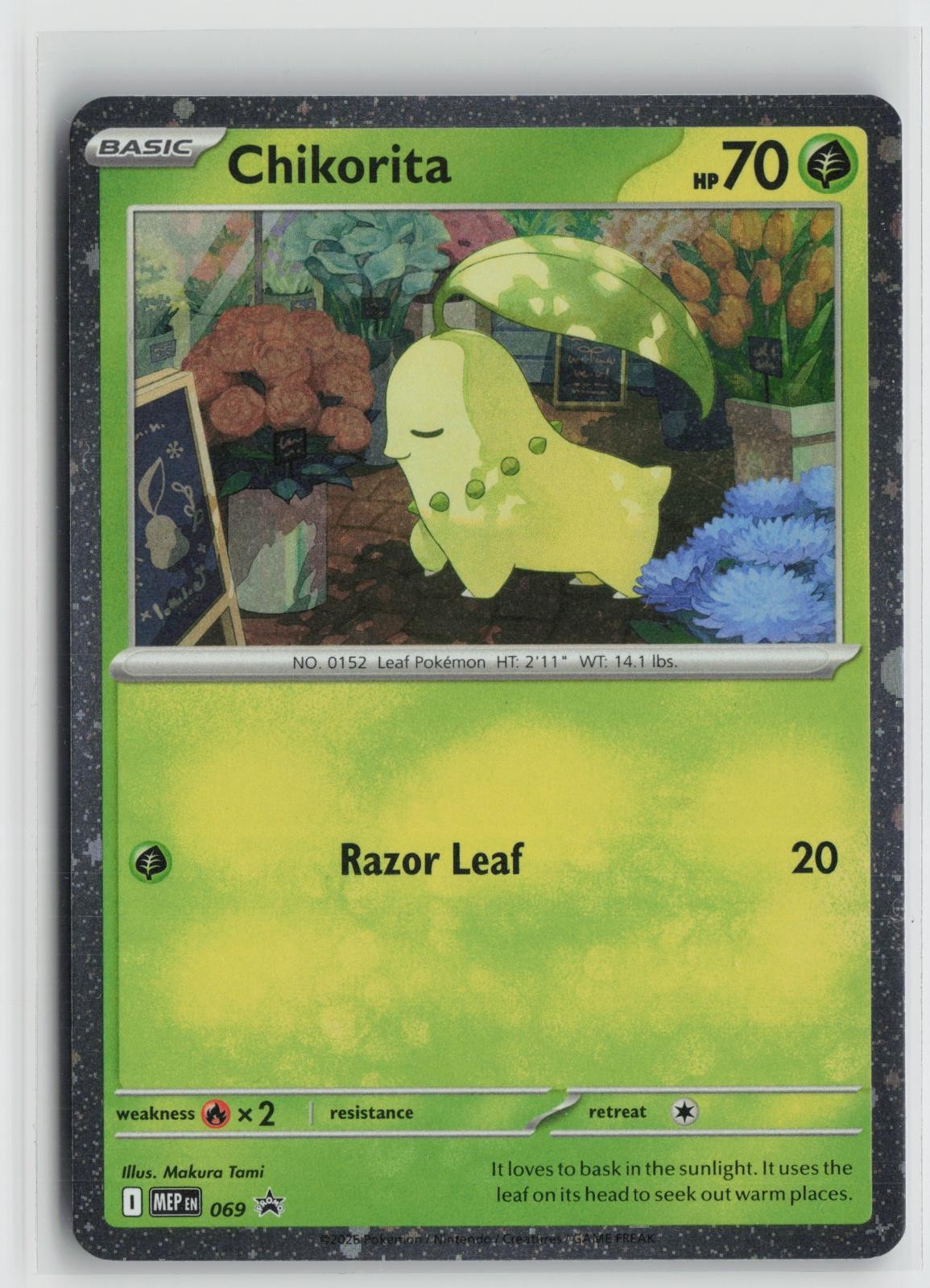 Chikorita (Cosmos Holo) 069 Holo Promo ME: Mega Evolution Promo Pokemon NM
