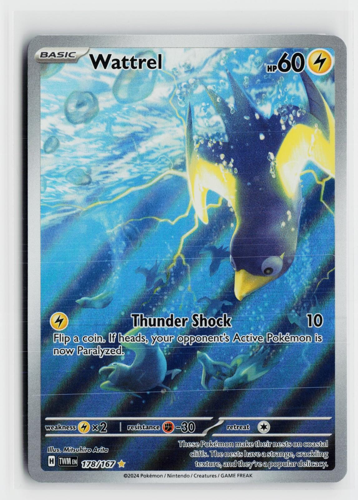 Wattrel 178/167 Twilight Masquerade NM IR Holo Pokemon