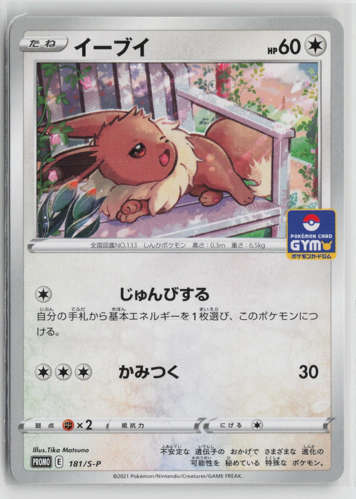 Eevee 181/S-P Gym Promo Pokemon Japanese NM