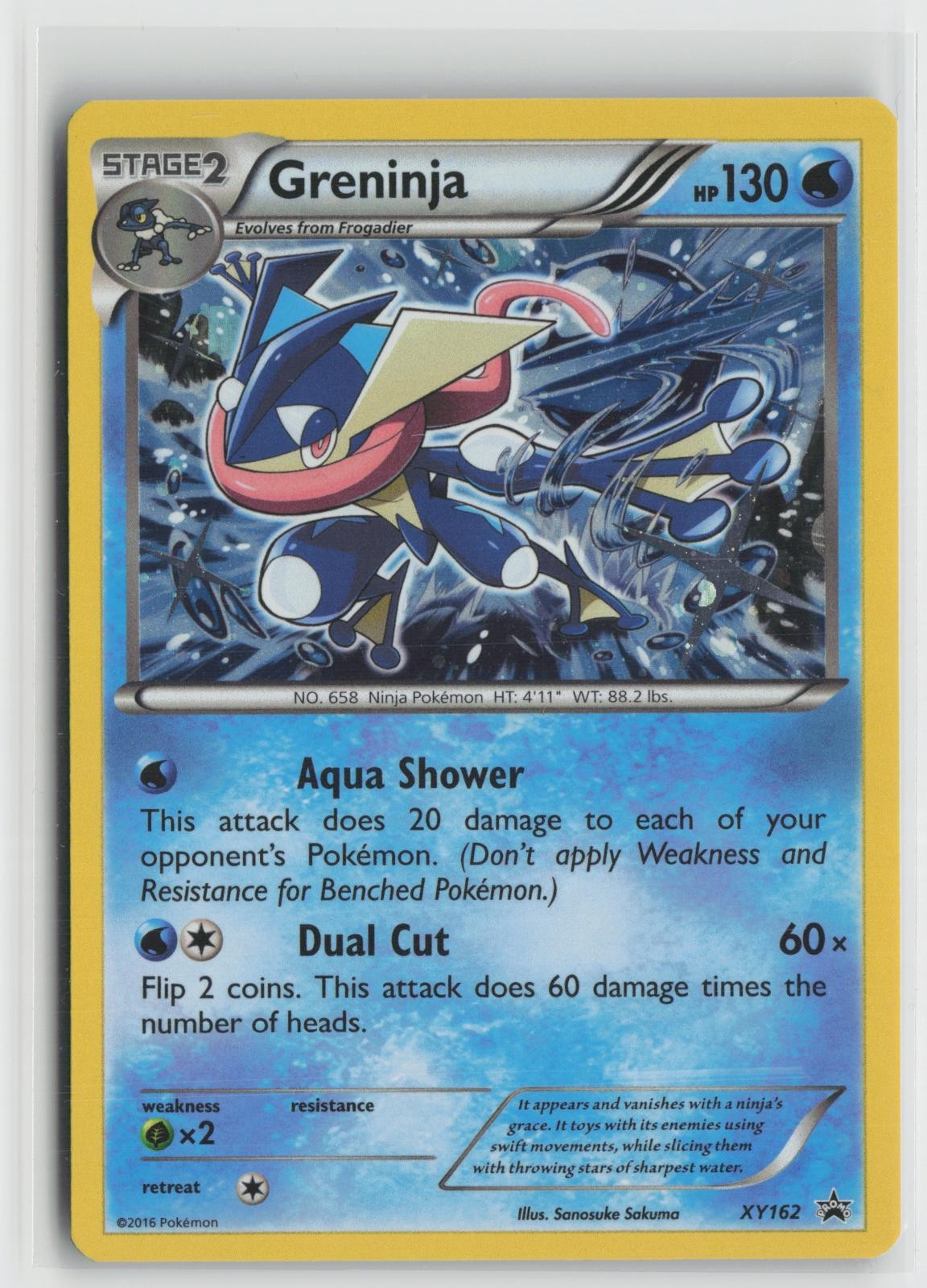 Greninja XY162 Holo Promo XY Promo Pokemon NM