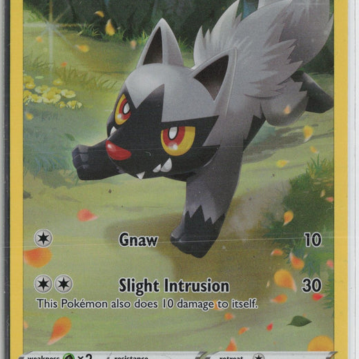 Poochyena GG33/GG70 Holo Crown Zenith Galarian Gallery Pokemon NM0