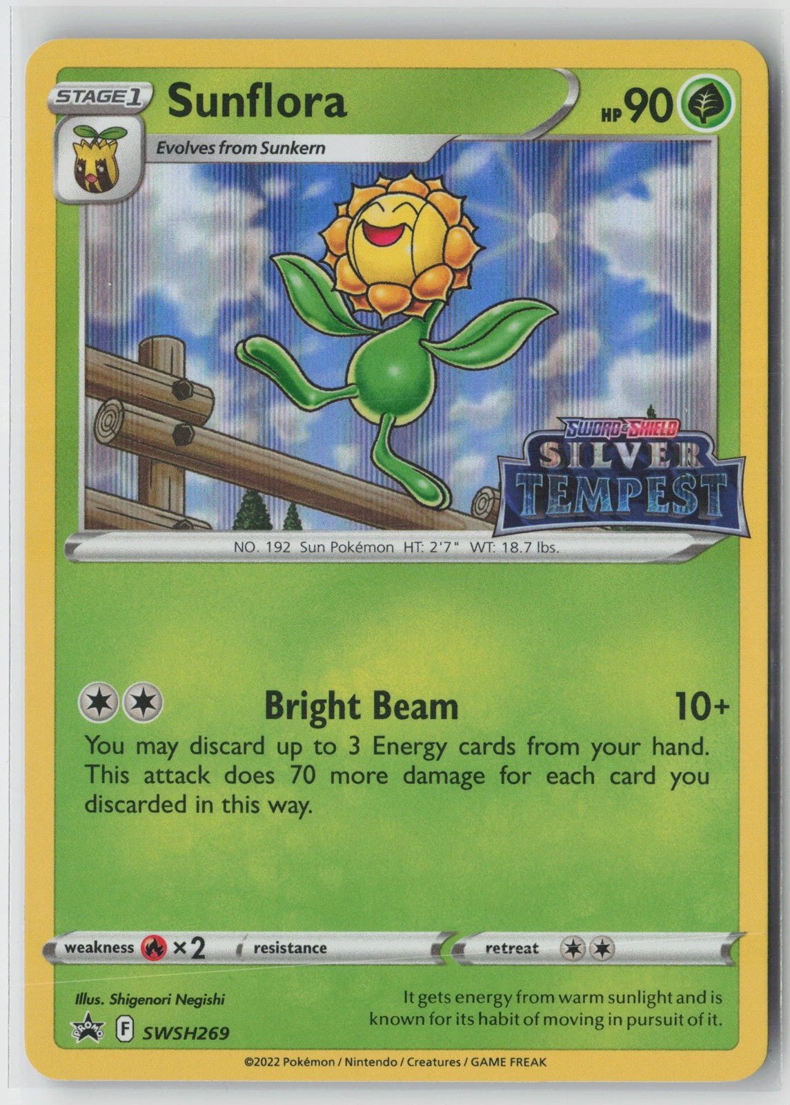 Sunflora SWSH269 Promo SWSH Black Star Pokemon NM
